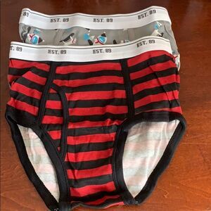 🎉1 hr sale 🎉 underwear bundle 2💙